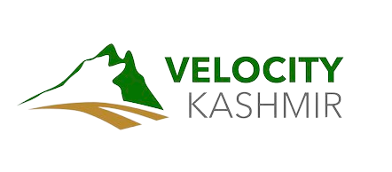 Velocity Kashmir Tour & Travels