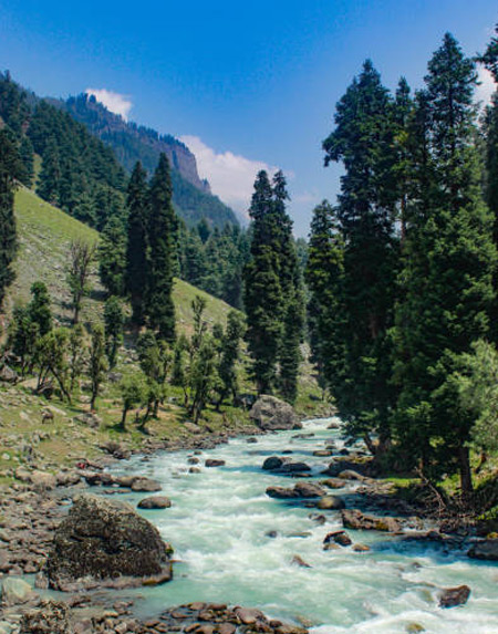 journey of Velocity Kashmir Tour and Travels
